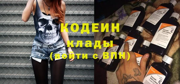 шишки Богородск