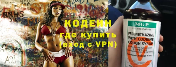 шишки Богородск
