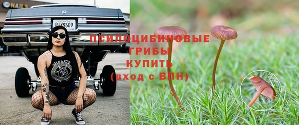 ПСИЛОЦИБИНОВЫЕ ГРИБЫ Богородицк